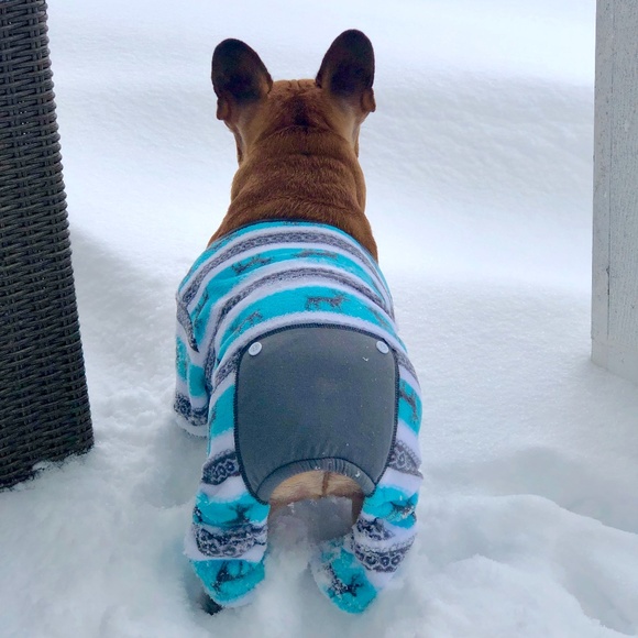 Meet your Posher, Tracy - Picture 4 of 15